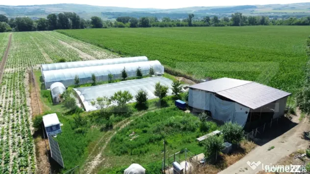 Teren extravilan 14.000 mp, Drâmbar – Ciugud | solarii, f - Alba Iulia (Alba)