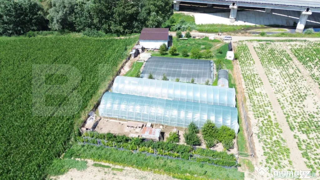 Teren extravilan 14.000 mp, Drâmbar – Ciugud | solarii, f - Alba Iulia (Alba)