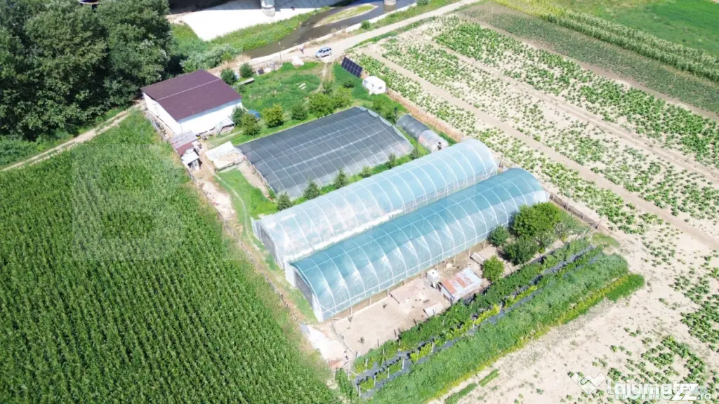 Teren extravilan 14.000 mp, Drâmbar – Ciugud | solarii, f - Alba Iulia (Alba)