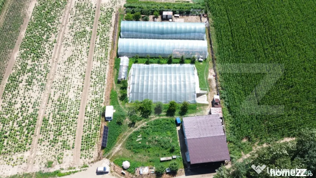 Teren extravilan 14.000 mp, Drâmbar – Ciugud | solarii, f - Alba Iulia (Alba)