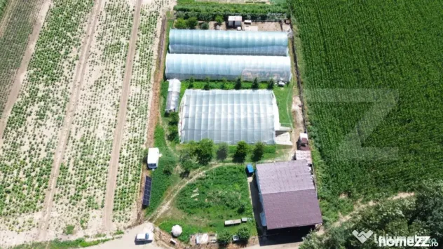 Teren extravilan 14.000 mp, Drâmbar – Ciugud | solarii, f - Alba Iulia (Alba)