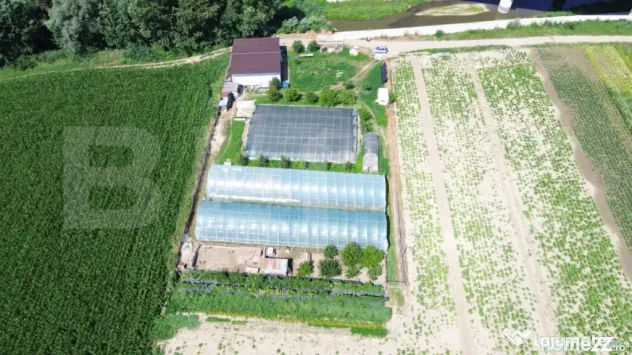 Teren extravilan 14.000 mp, Drâmbar – Ciugud | solarii, f - Alba Iulia (Alba)