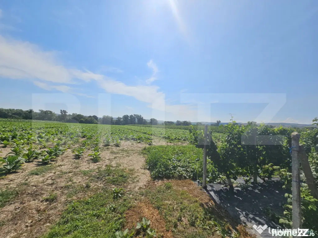 Teren extravilan 14.000 mp, Drâmbar – Ciugud | solarii, f - Alba Iulia (Alba)