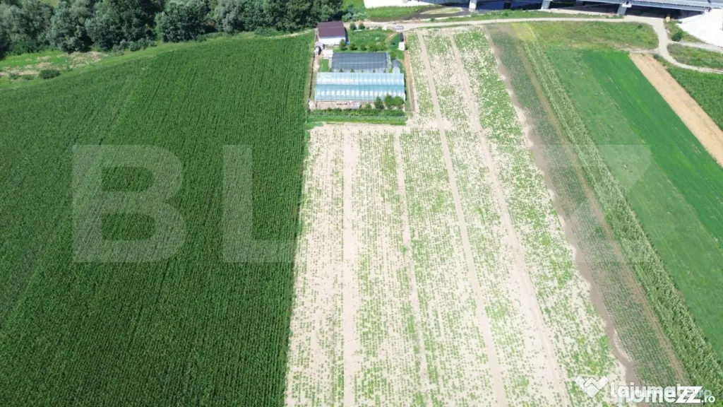 Teren extravilan 14.000 mp, Drâmbar – Ciugud | solarii, f - Alba Iulia (Alba)