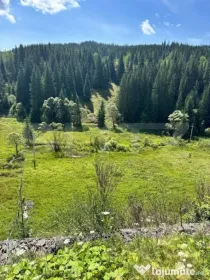 Teren intravilan de vanzare, 6941 mp, zona Mestecăniș