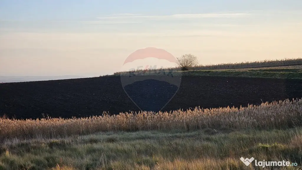 Teren extravilan 30077mp Stroiesti / Soseaua DN17, Suceava
