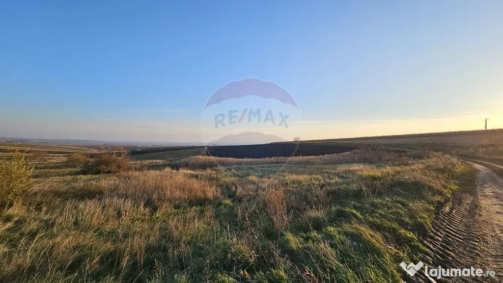 Teren extravilan 30077mp Stroiesti / Soseaua DN17, Suceava