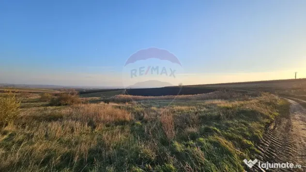 Teren extravilan 30077mp Stroiesti / Soseaua DN17, Suceava