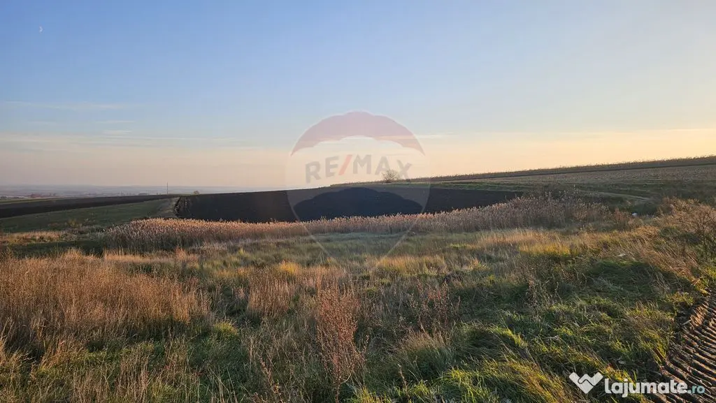 Teren extravilan 30077mp Stroiesti / Soseaua DN17, Suceava
