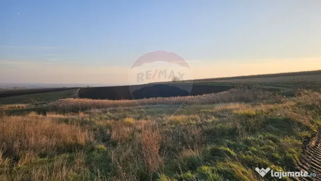 Teren extravilan 30077mp Stroiesti / Soseaua DN17, Suceava