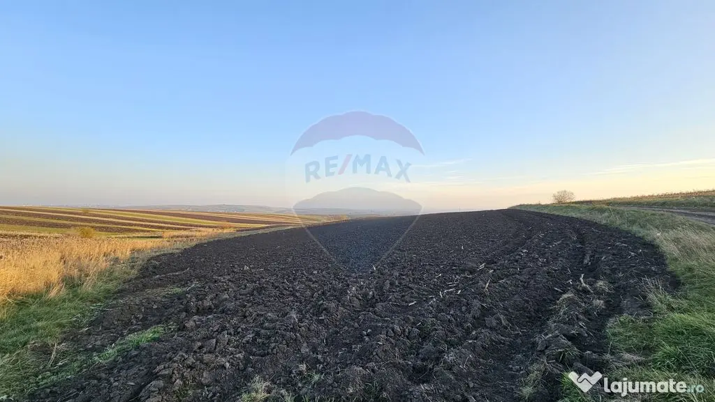 Teren extravilan 30077mp Stroiesti / Soseaua DN17, Suceava