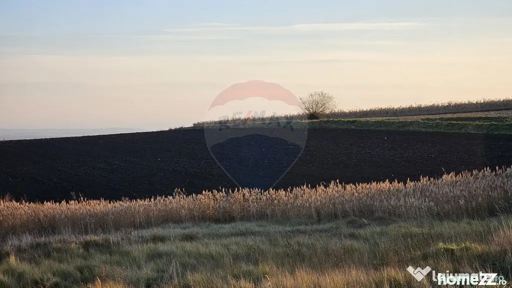 Teren extravilan 30077mp Stroiesti / Soseaua DN17, Suceava - Stroiesti (Suceava)