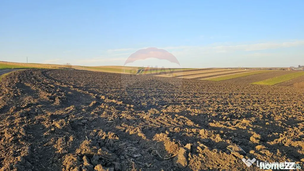 Teren extravilan 30077mp Stroiesti / Soseaua DN17, Suceava - Stroiesti (Suceava)