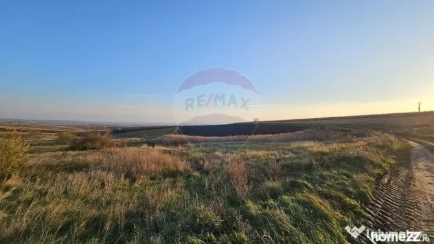 Teren extravilan 30077mp Stroiesti / Soseaua DN17, Suceava - Stroiesti (Suceava)