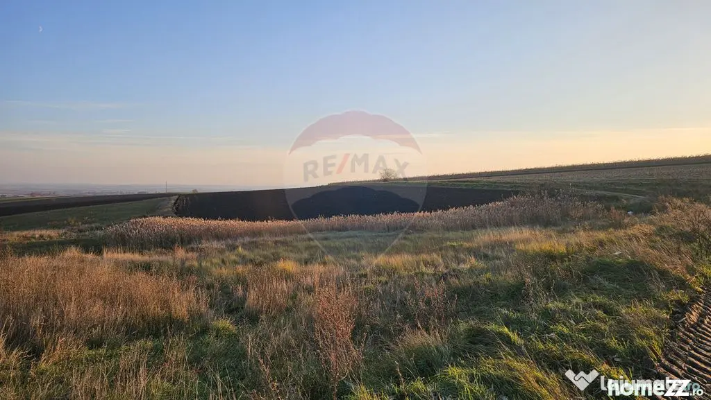 Teren extravilan 30077mp Stroiesti / Soseaua DN17, Suceava - Stroiesti (Suceava)
