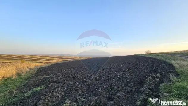 Teren extravilan 30077mp Stroiesti / Soseaua DN17, Suceava - Stroiesti (Suceava)