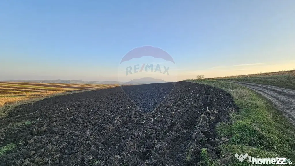 Teren extravilan 30077mp Stroiesti / Soseaua DN17, Suceava - Stroiesti (Suceava)