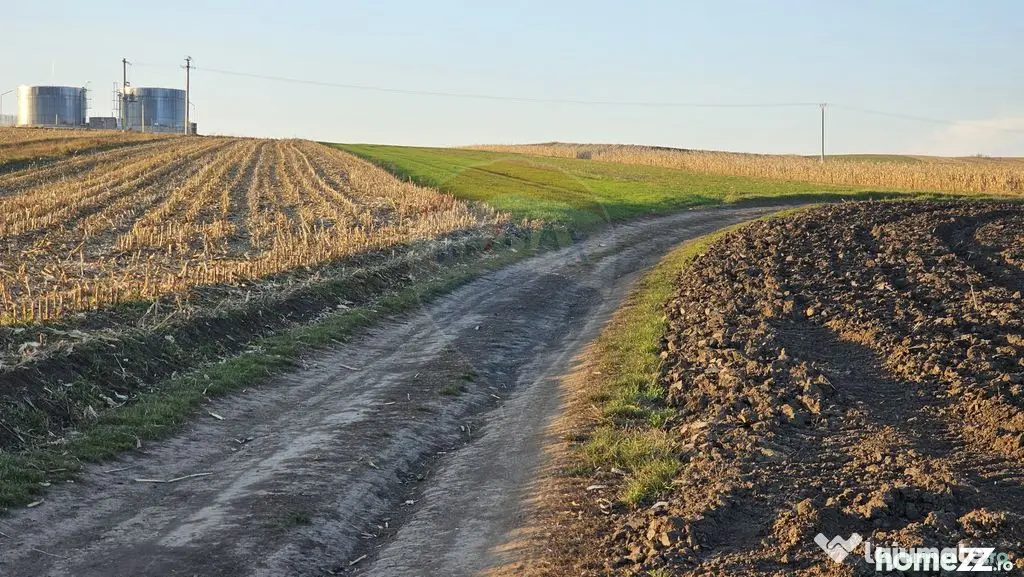 Teren extravilan 30077mp Stroiesti / Soseaua DN17, Suceava - Stroiesti (Suceava)