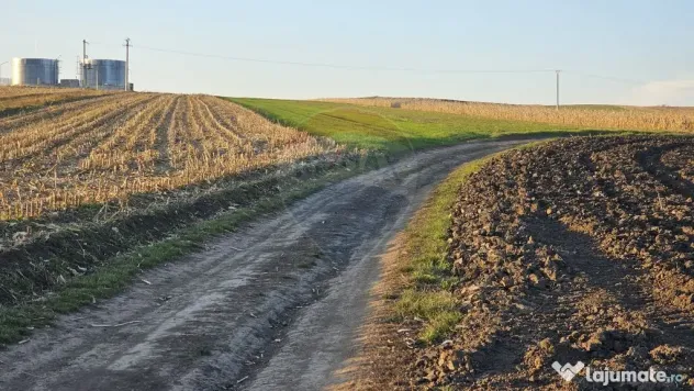 Teren extravilan 30077mp Stroiesti / Soseaua DN17, Suceava