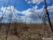 Resita, Teren Intravilan Langa Oras, 5265 Mp., 6,6 Euro/Mp., 