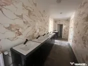 Lugoj, Pensiune 16 Cam., 850 Mp, Renovata Str. Principala 