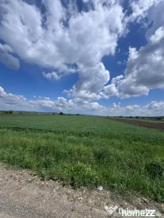 Teren extravilan, 1 hectar, Volovat