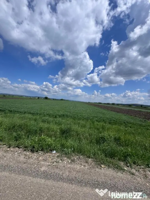 Teren extravilan, 1 hectar, Volovat