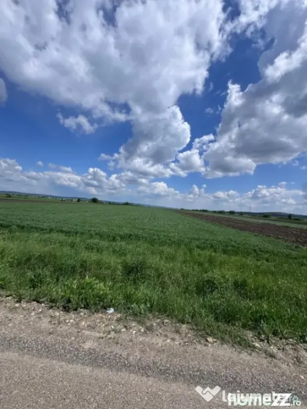 Teren extravilan, 1 hectar, Volovat