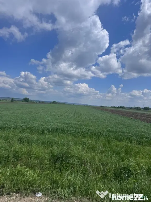 Teren extravilan, 1 hectar, Volovat