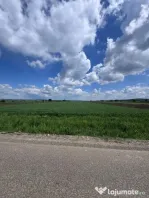 Teren extravilan, 1 hectar, Volovat