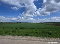 Teren extravilan, 1 hectar, Volovat