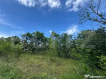 Teren extravilan de vanzare, 6000 mp, zona Hateg