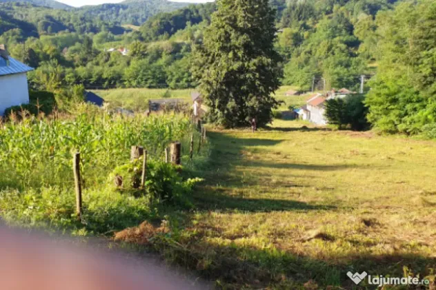 Teren 7000mp Pucioasa - Zona Pitoreasca