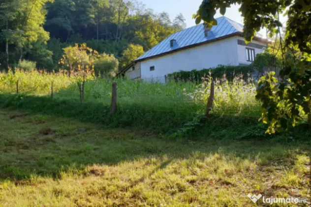 Teren 7000mp Pucioasa - Zona Pitoreasca