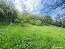 Teren intravilan de 1811 mp situat in Sibiel judetul Sibiu