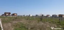 Veterani / 500 mp