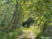 Teren Premium 1559 mp, Brebu Manastirei – Refugiu Montan l 