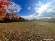 Teren Premium 1559 mp, Brebu Manastirei – Refugiu Montan l 