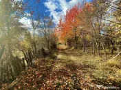 Teren Premium 1559 mp, Brebu Manastirei – Refugiu Montan l 