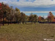 Teren Premium 1559 mp, Brebu Manastirei – Refugiu Montan l 