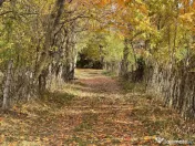 Teren Premium 1559 mp, Brebu Manastirei – Refugiu Montan l 