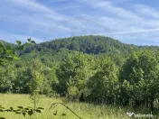 Teren Premium 1559 mp, Brebu Manastirei – Refugiu Montan l 