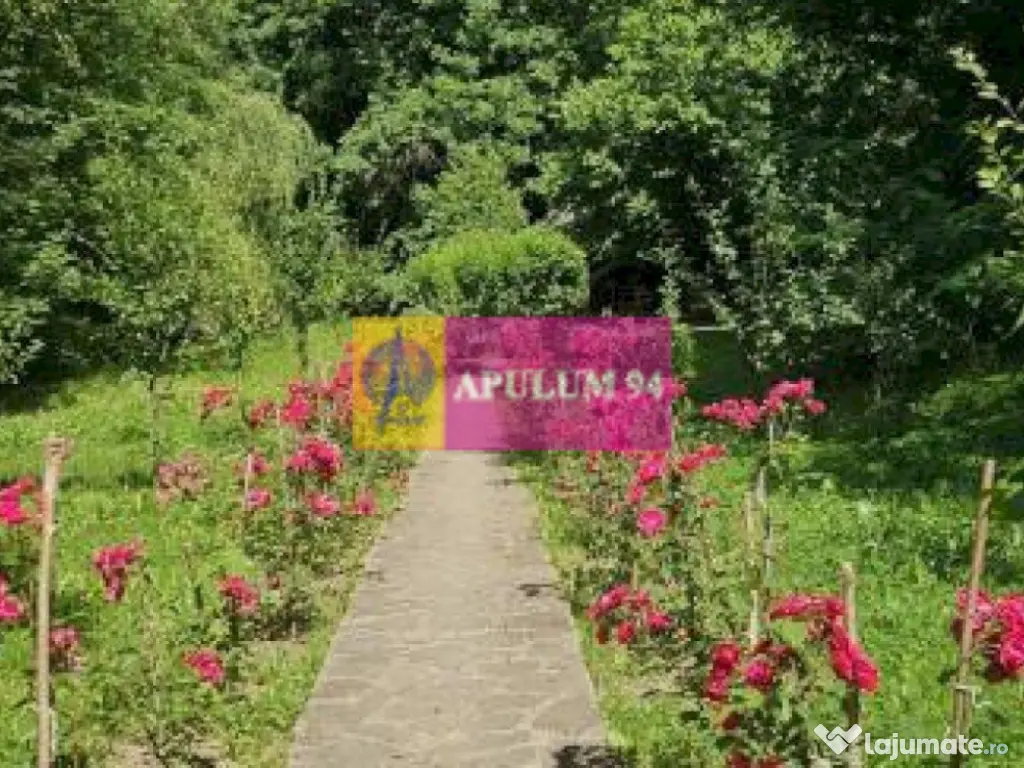 Casă de vânzare în Provița de Jos