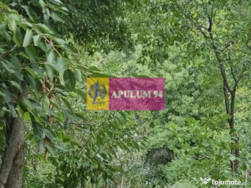 Casă de vânzare în Provița de Jos