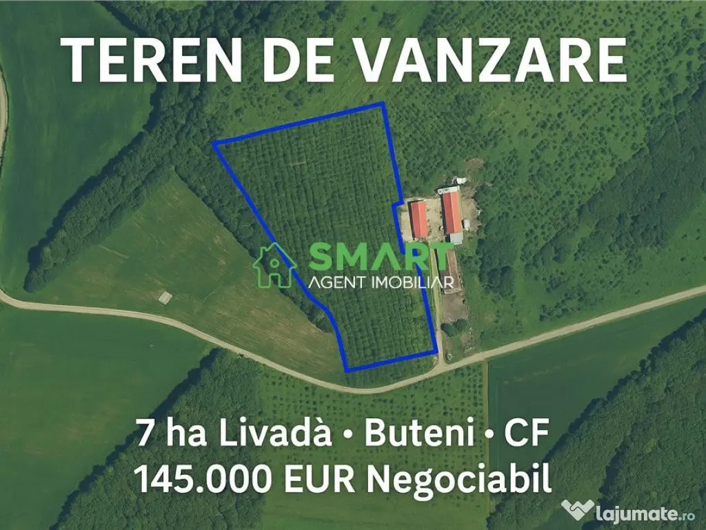 Teren 7 ha. livada Buteni, Jud. Arad CF, acces drum.