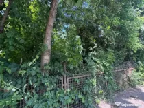 Teren constructii, 4200mp, Radauti