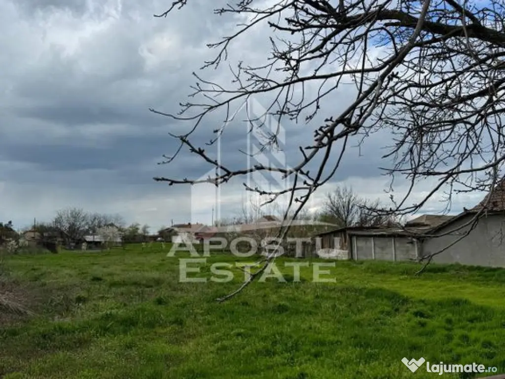 Teren intravilan 1500 mp in Dinias 20km de Timisoara - Dinias (Timis)