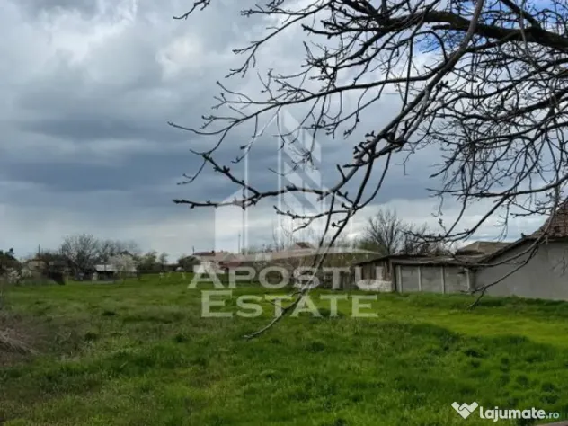 Teren intravilan 1500 mp in Dinias 20km de Timisoara - Dinias (Timis)