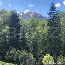 De vanzare, teren intravilan 10650mp, Predeal