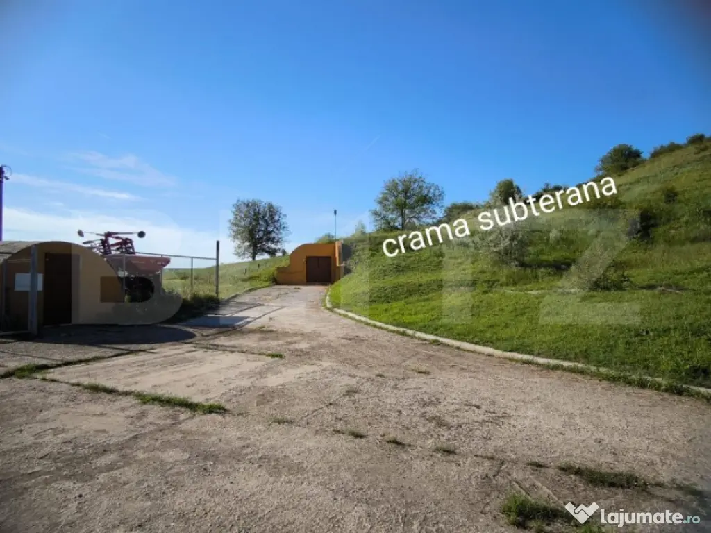 Oportunitate! Sala de evenimente, benzinarie si spalatorie a